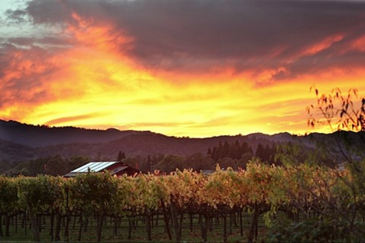 sunset in Napa Valley