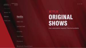 Netflix screen