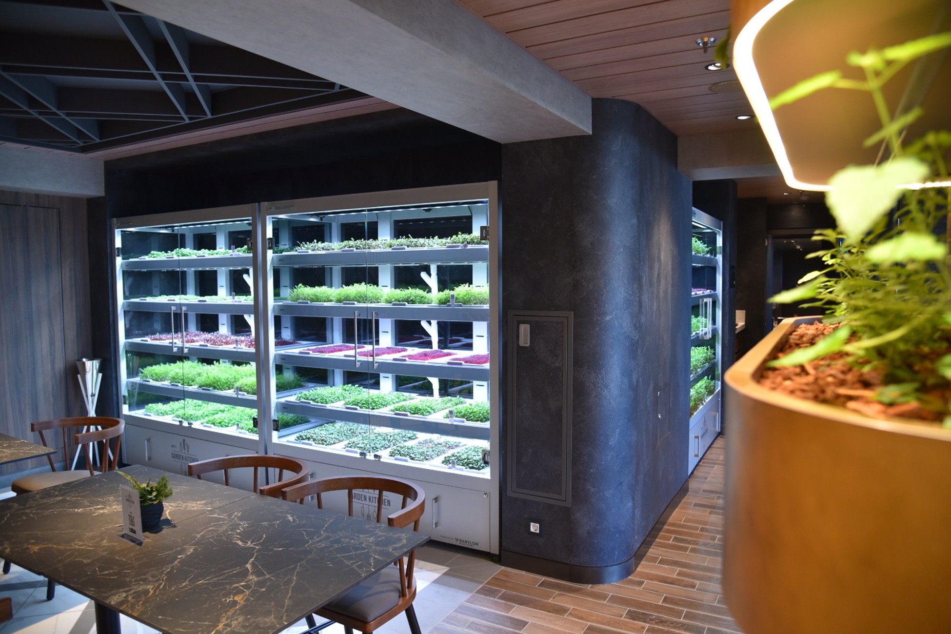 Babylon Micro-Farms hydroponics system on site at a hotel restaurant, highlighting the repurposing of space for revenue opportunities