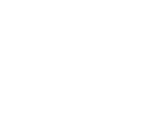 WorldVue bird logo in white